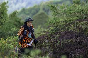 BIB: 
                            <button type="button" onclick="openModal(24764063)" class="btn btn-primary btn-sm float-right btn-popup" data-toggle="modal" data-target=".modal-high-quality">
                        <i class="fas fa-shopping-cart"></i> Add to Cart
                    </button>
                                            <button type="button" onclick="isThisMe(24764063, true)" class="btn btn-success btn-sm float-right btn-popup btn-isme hidden" data-toggle="tooltip" data-placement="bottom" title="นี่คือรูปของคุณใช่ไหม คลิกที่นี่เพื่อเอาเข้าอัลบั้ม">
                        <i class="fas fa-plus"></i> Add to album
                    </button>
                    <button type="button" onclick="isThisMe(24764063, false)" class="btn btn-warning btn-sm float-right btn-popup btn-isnotme hidden">
                        <i class="fas fa-ban"></i> Remove from album
                    </button>